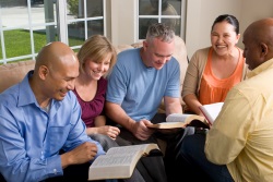 Beginners Bible Study